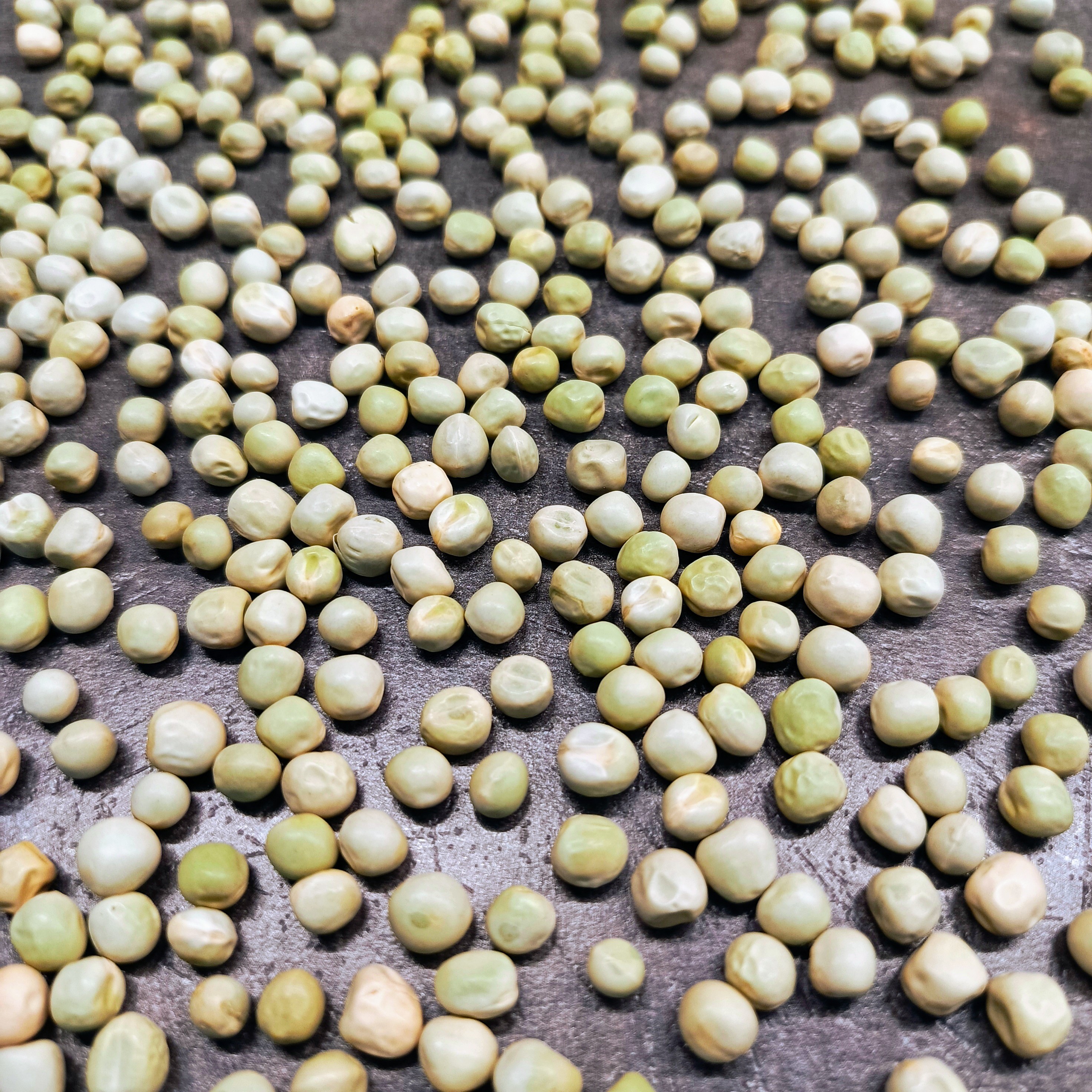 Hrášek semínka na klíčení a microgreens (2)